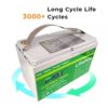 Lifepo4 BMS Lithium Battery Pack 12v 48v 100ah 120ah 150ah 200ah 300ah Lifepo4 deep cycle Lithium Ion Battery 12v - Image 6